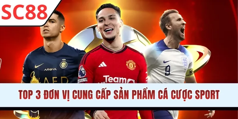Top 3 đơn vị cung cấp sản phẩm cá cược Sport